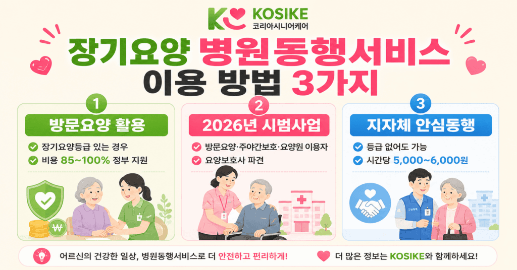 장기요양 병원동행서비스 이용방법 3가지 방문요양 시범사업 지자체 안심동행 비교