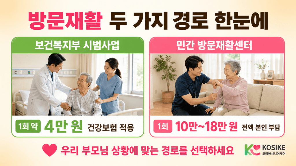 보건복지부 방문재활 시범사업 민간 방문재활운동센터 비교 인포그래픽